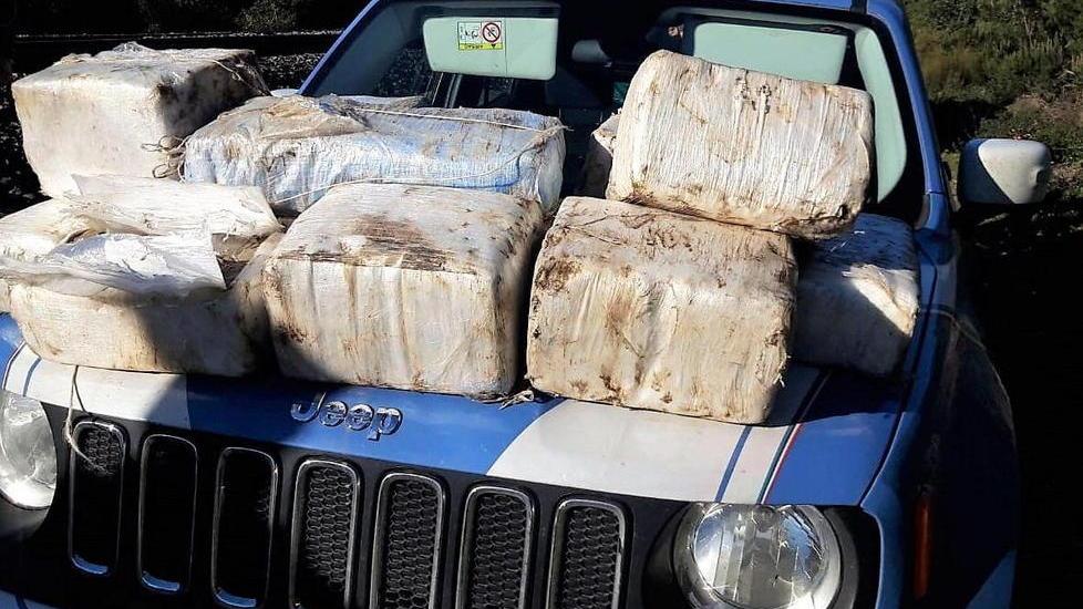 Maxi operazione anti-spaccio in pineta: 4 arresti, 21 denunce