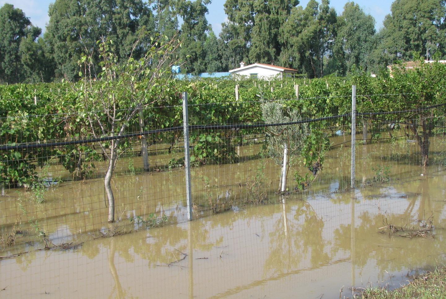 Nelle strade rurali danni per 3 milioni 