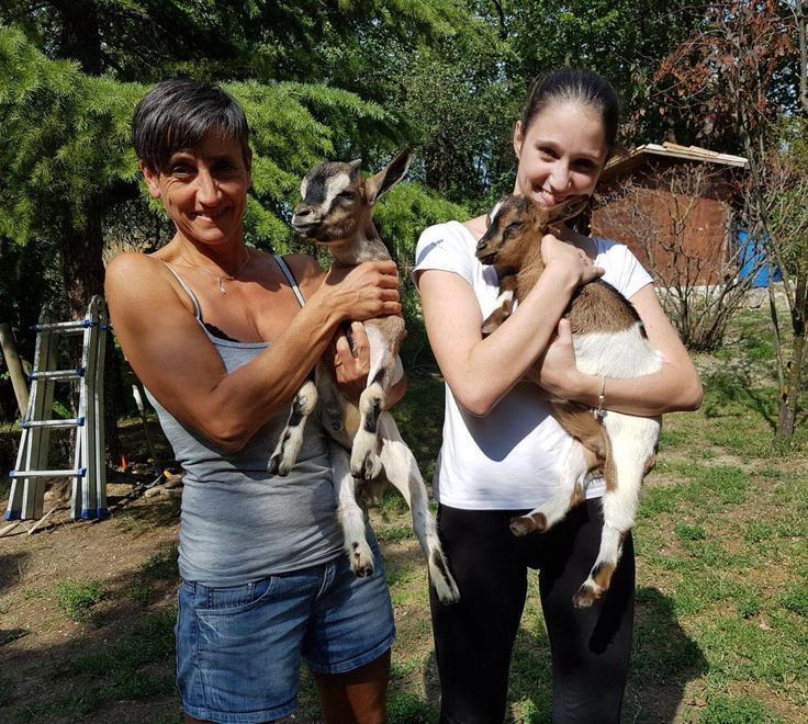 Due caprette sbranate nella notte: «Forse i lupi, ora abbiamo paura» 