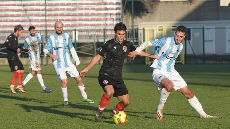 In zona playoff con sogni grandi Il Grifone vola e non si ferma