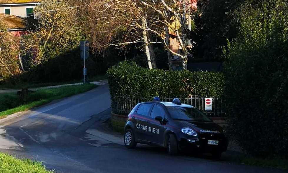 Il litigio con lo sparo nato per i grossi cani lasciati in giro per strada