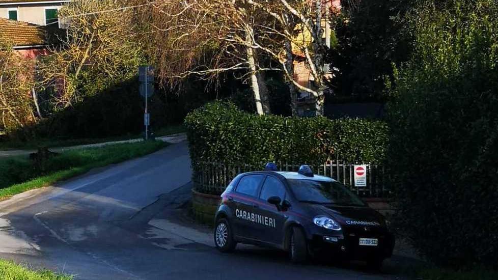 Il litigio con lo sparo nato per i grossi cani lasciati in giro per strada
