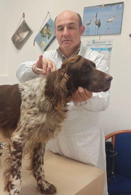 Domani microchippatura su appuntamento