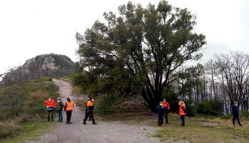 Procede il ripristino della vegetazione sul Monte Pisano