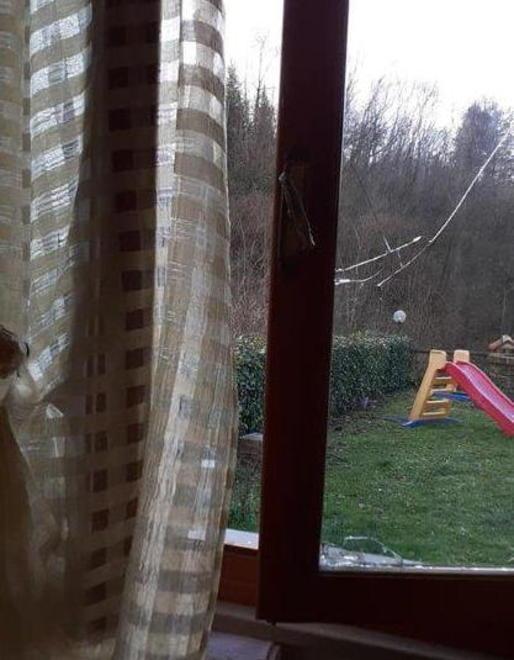 Donna lancia l’allarme «I ladri in pieno giorno mi sono entrati in casa» 