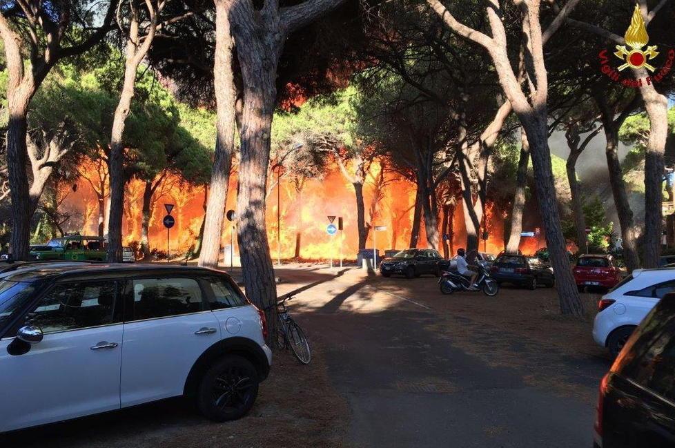 Piano antincendi, partono i lavori nelle pinete di Marina e Principina 
