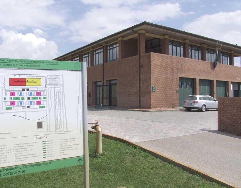 La clinica veterinaria dell’ateneo a San Piero a Grado