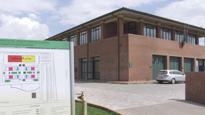 La clinica veterinaria dell’ateneo a San Piero a Grado