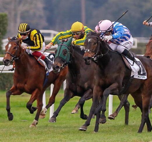 Play the Break prevale in volata nel premio “Newton” a San Rossore