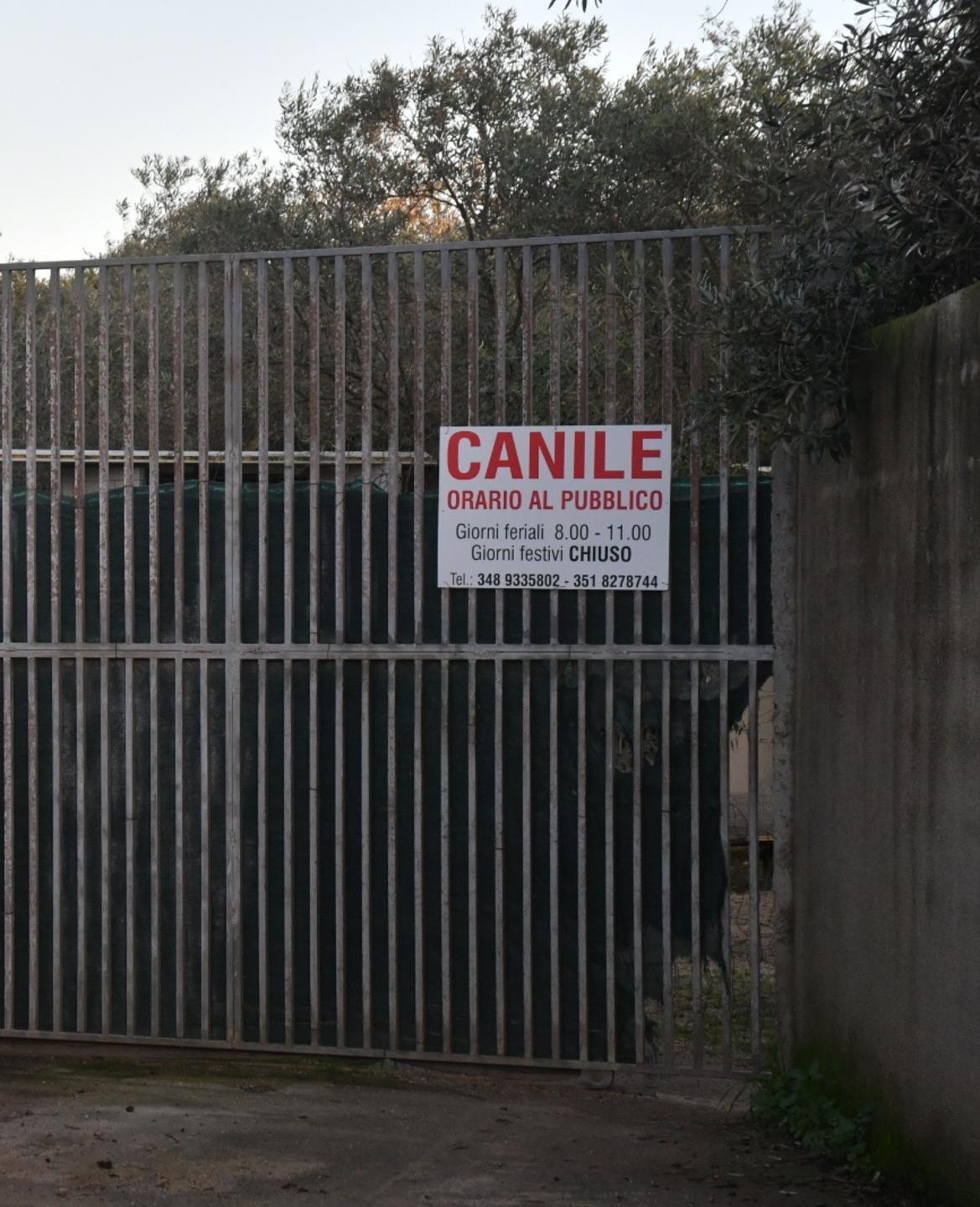 Dal cilindro spunta un gestore per il canile