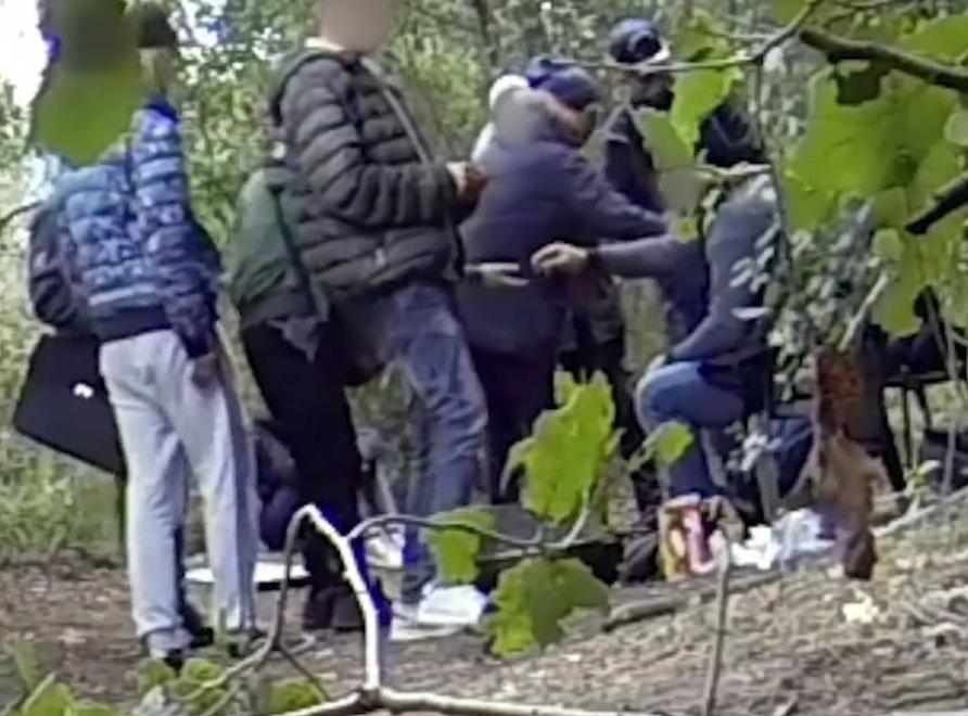 Blitz antidroga: spacciatore preso mentre va in pineta con sacchi di viveri 