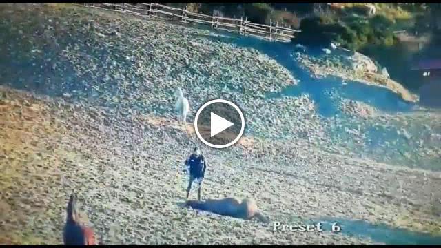 Volterra, un altro cavallo morto al centro di recupero di Tignano