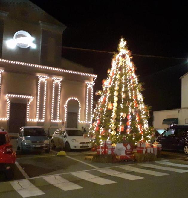 L’albero addobbato con i palloni da calcio