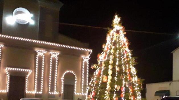 L’albero addobbato con i palloni da calcio