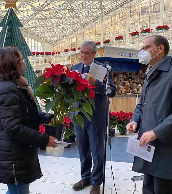 Stelle di Natale al “Gemelli”