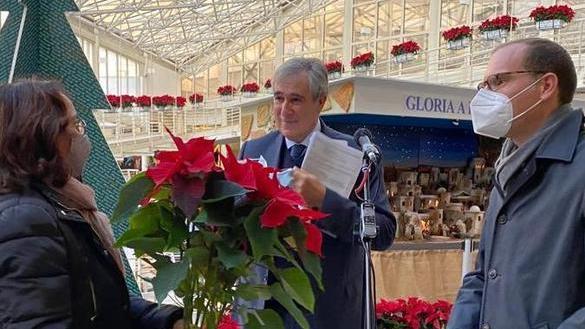Stelle di Natale al “Gemelli”