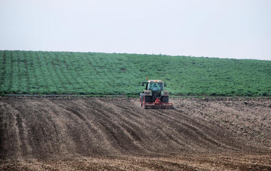Un milione e mezzo del Gal alle imprese agricole 
