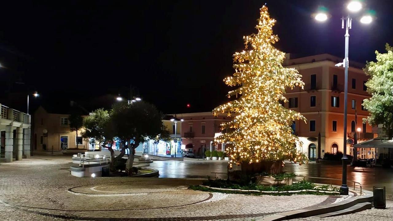 L'albero di Natale in piazza a Santa Teresa