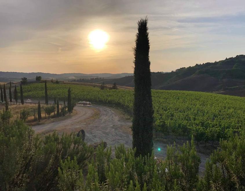 Investiti 40mila euro per sistemare e dare valore turistico alle strade bianche 