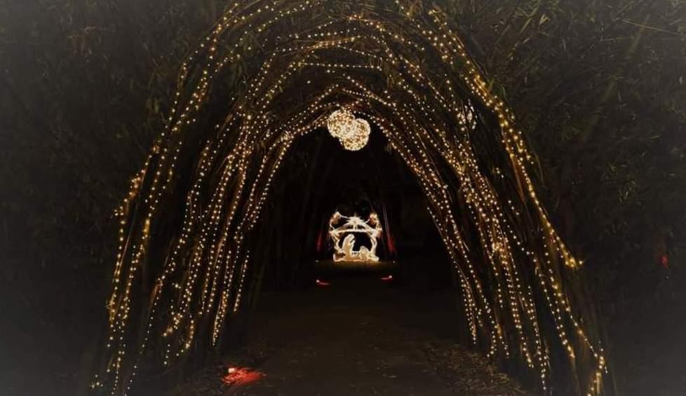 Rubano il presepe allestito da una famiglia «Gesto riprovevole» 