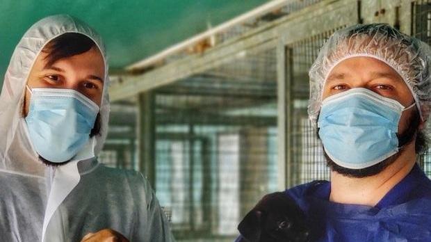 Fondi negati al canile Il Comune: scelta anomala della Regione