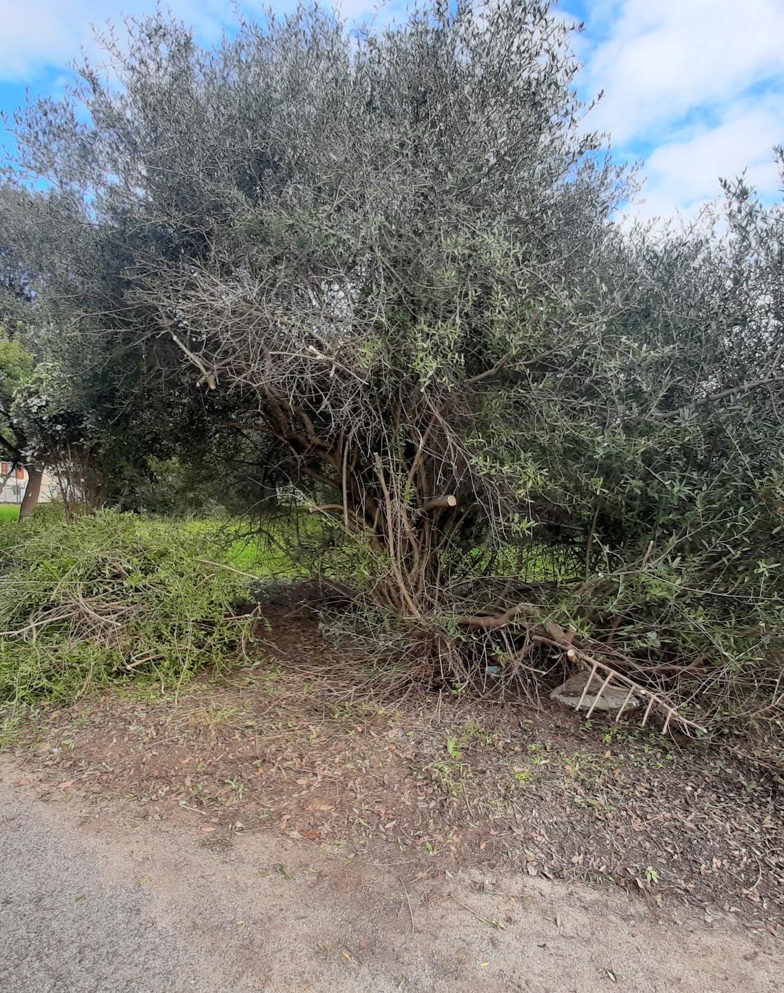 Strade pericolose e lavori senza fine 