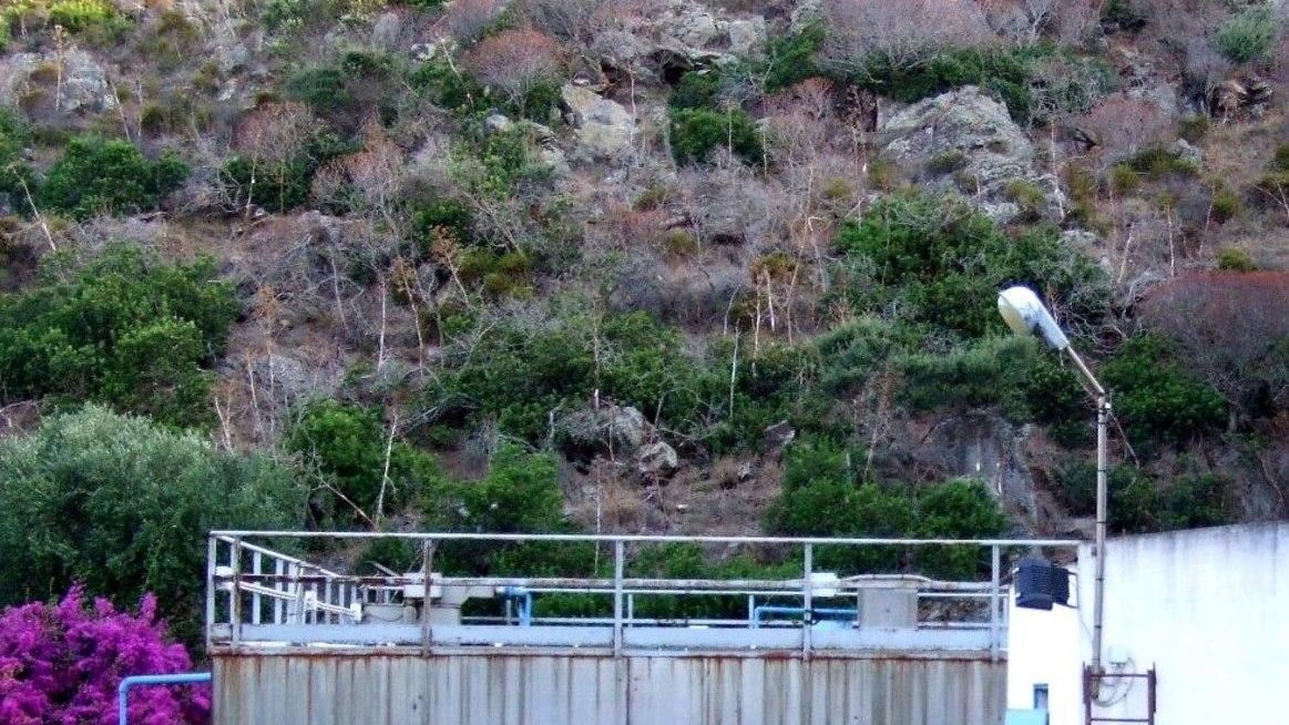 Sistema idrico dell’Asinara per 10 mesi al Comune 