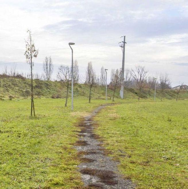 “Più alberi per i bimbi” Tremila nuove piante a dimora in tre parchi 