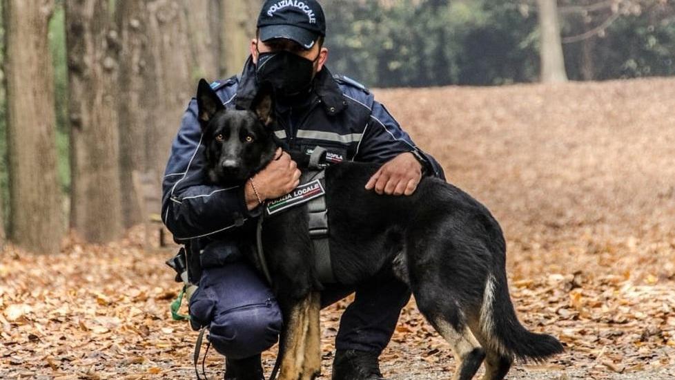 Il cane Fait va subito a segno