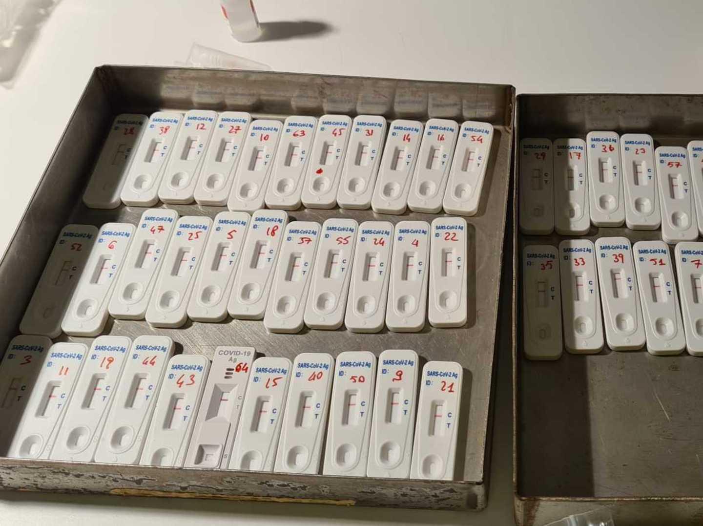 Test Covid al “Paglietti”, prof e bidelli negativi 