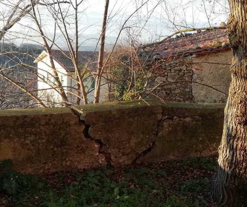 «Muffa e giardino incolto Subito i lavori nella scuola» 