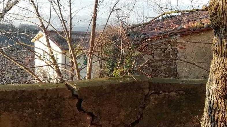 «Muffa e giardino incolto Subito i lavori nella scuola»