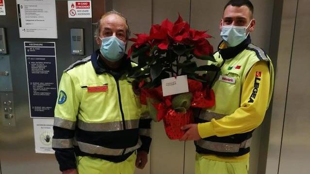 Le Stelle di Natale del Soccorso Azzurro