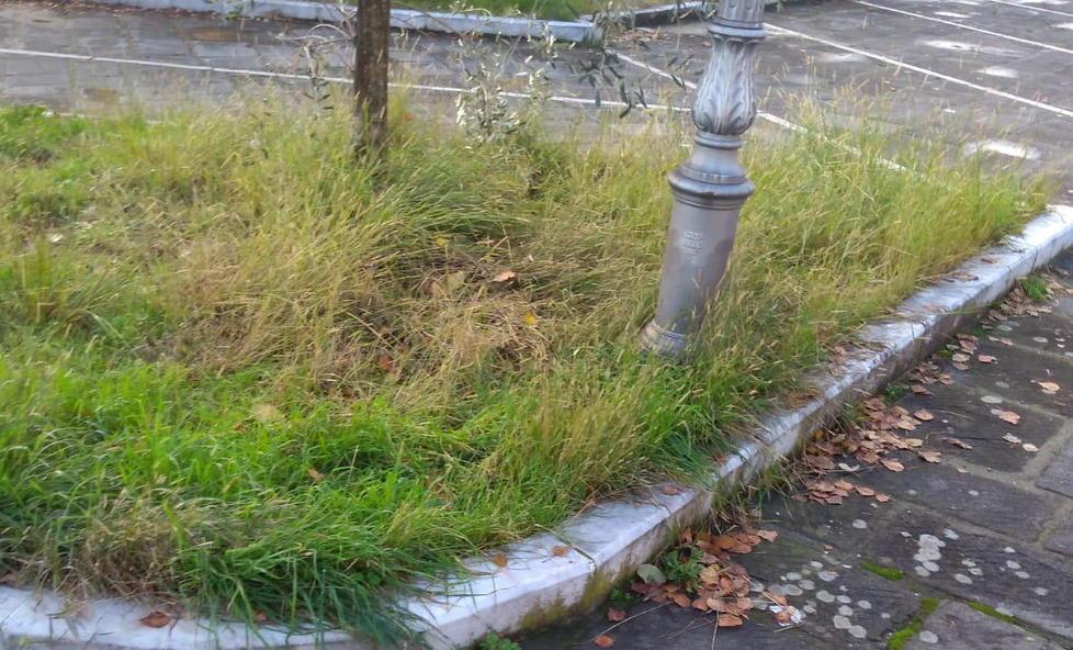 San Vitale, volontari e parroco ripuliscono il parcheggio