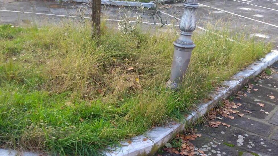 San Vitale, volontari e parroco ripuliscono il parcheggio