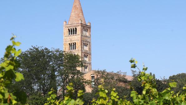 Qualità altissima ma vendite a picco Gioie e dolori dei vini ferraresi