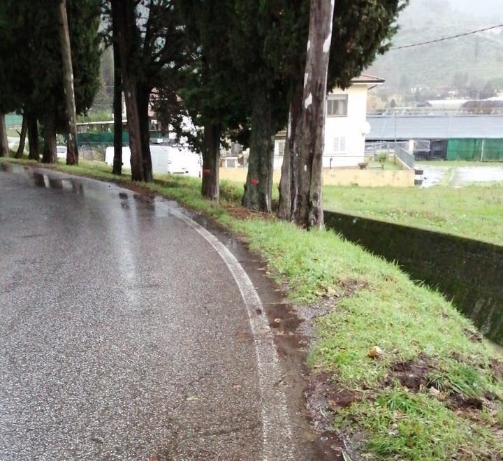 L'appello del cittadino di Massarosa: «Mettete in sicurezza la strada dove è morto mio padre» 