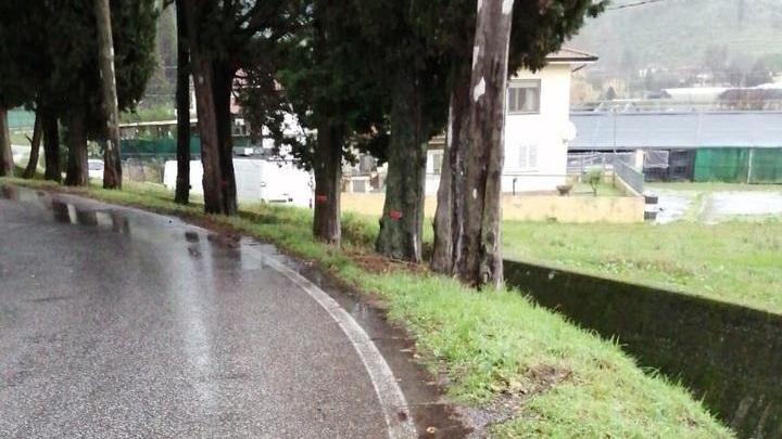 L'appello del cittadino di Massarosa: «Mettete in sicurezza la strada dove è morto mio padre»