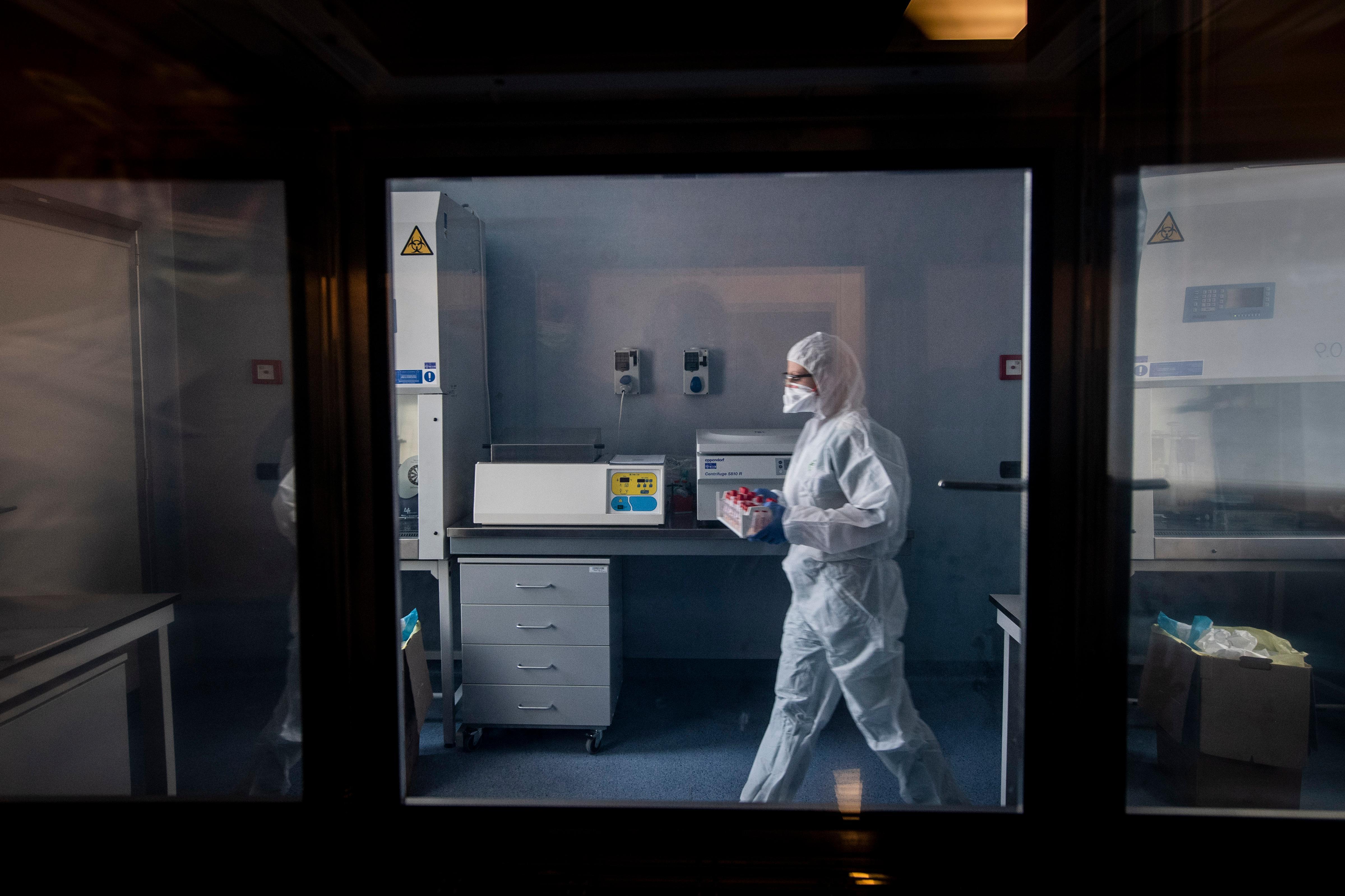 Isolata a Pisa una variante del virus su una paziente arrivata dall'Inghilterra