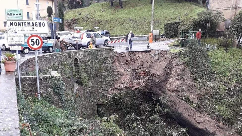 Un nuovo belvedere al posto del leccio centenario crollato
