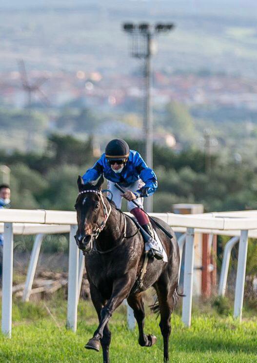 Regal Lady, 11 anni e ancora regina dell’ippica 