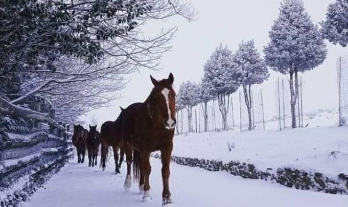 Desulo, Fonni e Ollolai: la neve torna anche alla fine dell’anno