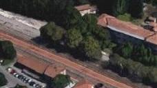 Carpi, coltivazione di canapa al Parco Lama? «Un’azienda è disponibile a realizzarla»