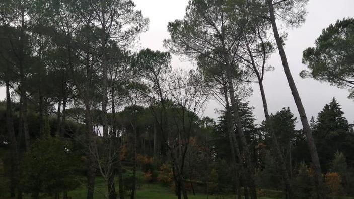 Riqualificazione del Gallerone, via ai lavori entro primavera