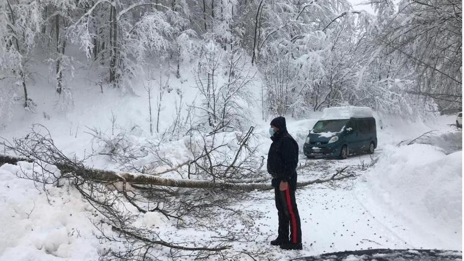 Alberi caduti e case al buio per la nevicata da record