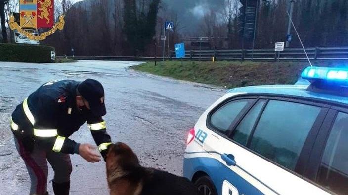 La Stradale salva pastore tedesco spaventato dai tuoni e dai petardi