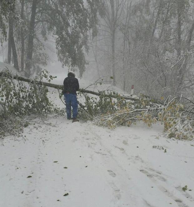Famiglie senza corrente per più di trenta ore a causa della troppa neve