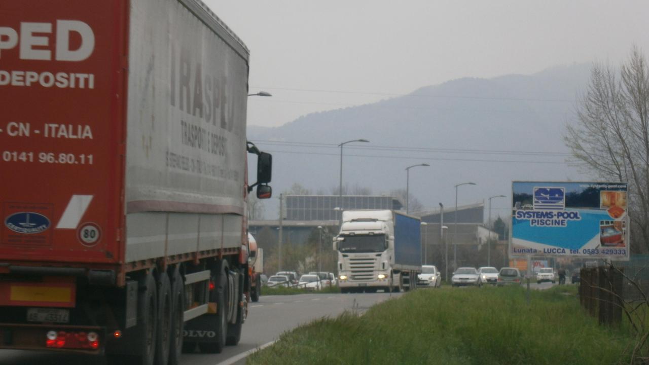 «I lavori su viale Europa porteranno caos e altri guai al commercio»