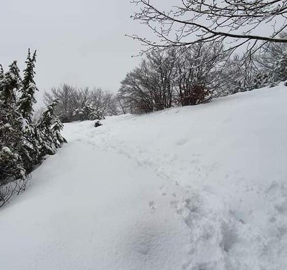 In tanti anche da fuori provincia sfidando pure il maltempo