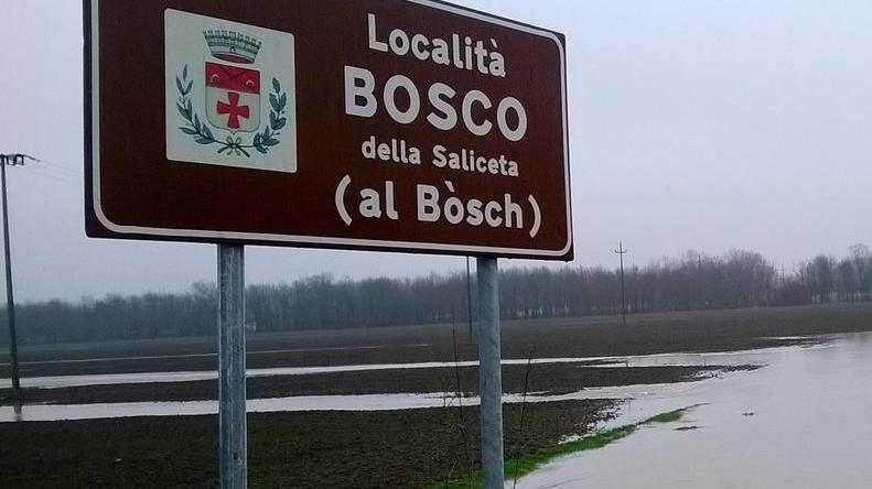 Camposanto Il mistero: strade del Bosco della Saliceta sono senza padroni